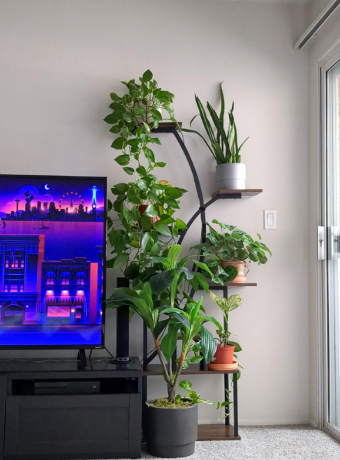 Tall Plant Stand with LED Grow Lights – Stylish Indoor Display for Greenery